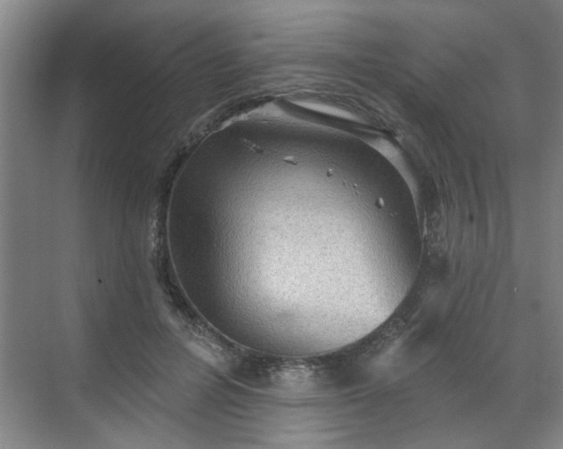 X0000070340600200606161252