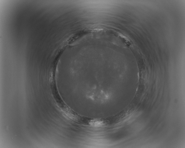 X0000070340602200606161252