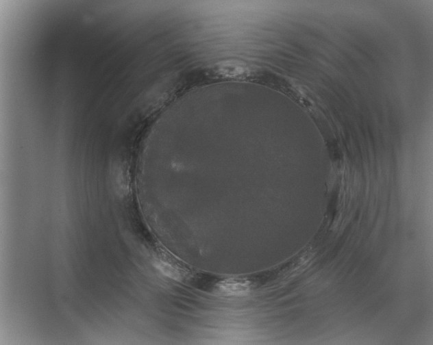 X0000070340606200606161252