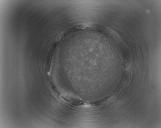 X0000070340607200606161252