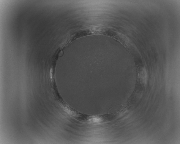 X0000070340610200606161252