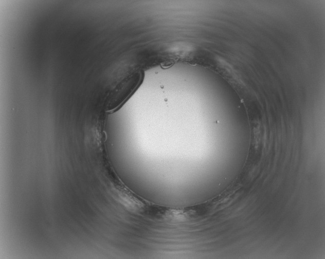 X0000070340613200606161252