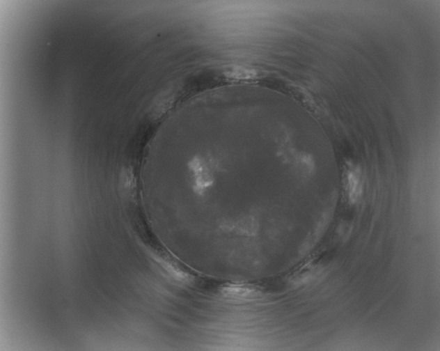 X0000070340614200606161252