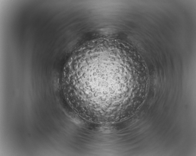 X0000070340615200606161252