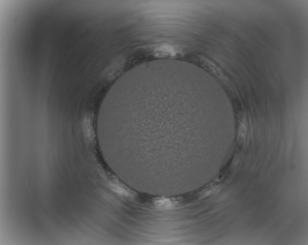 X0000070340616200606161252