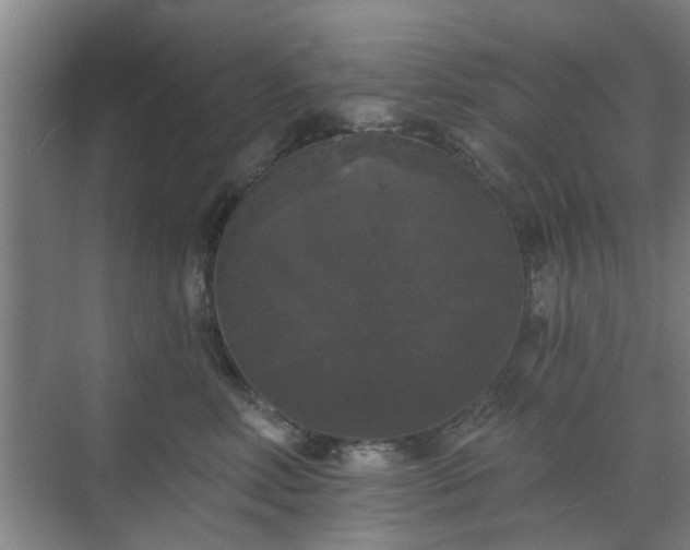 X0000070340618200606161252