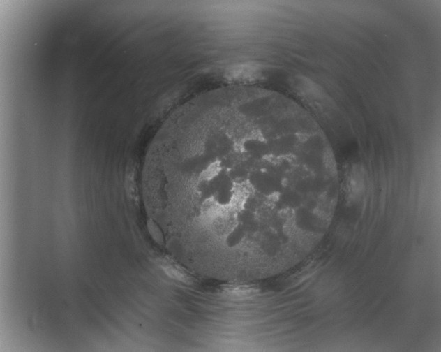 X0000070340619200606161252