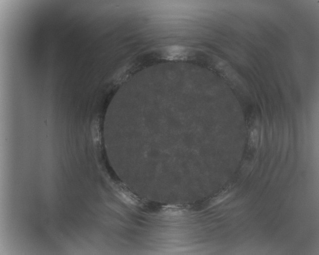 X0000070340620200606161252