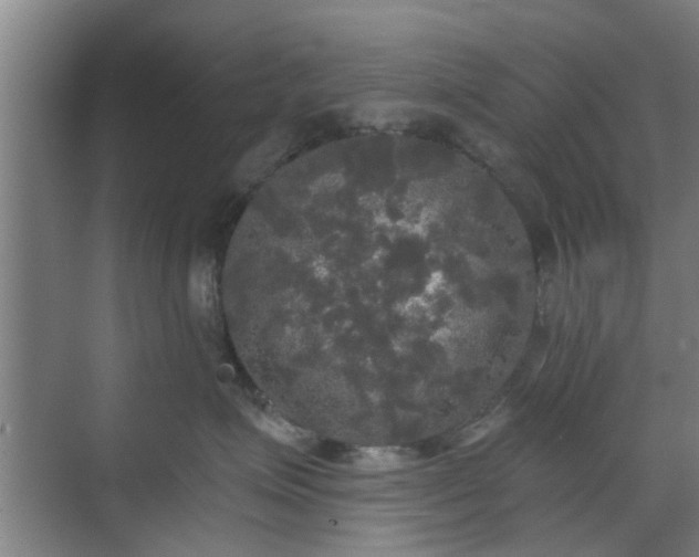 X0000070340623200606161252