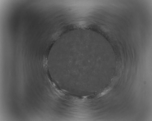 X0000070340624200606161252