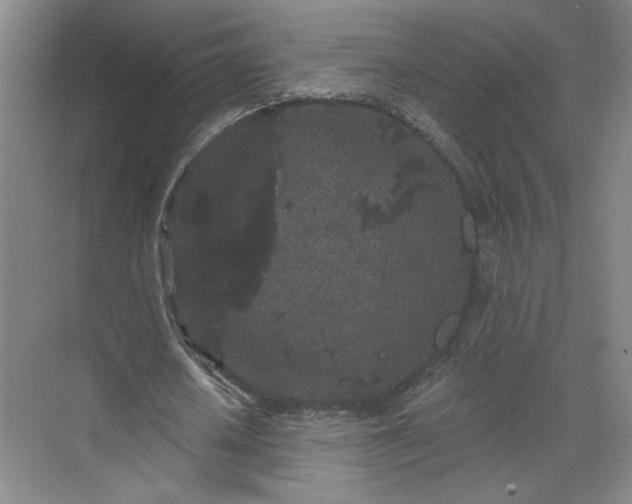 X0000070340626200606161251