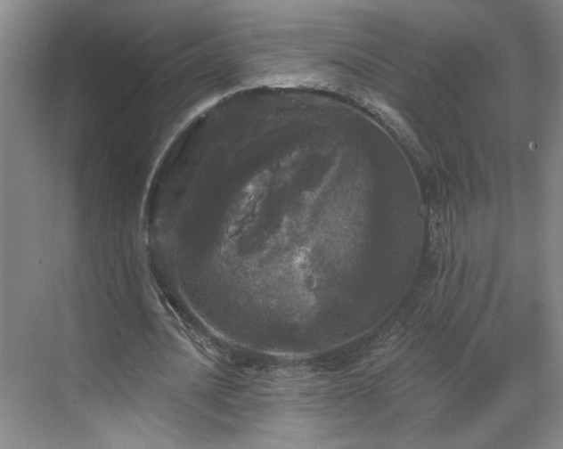 X0000070340628200606161251