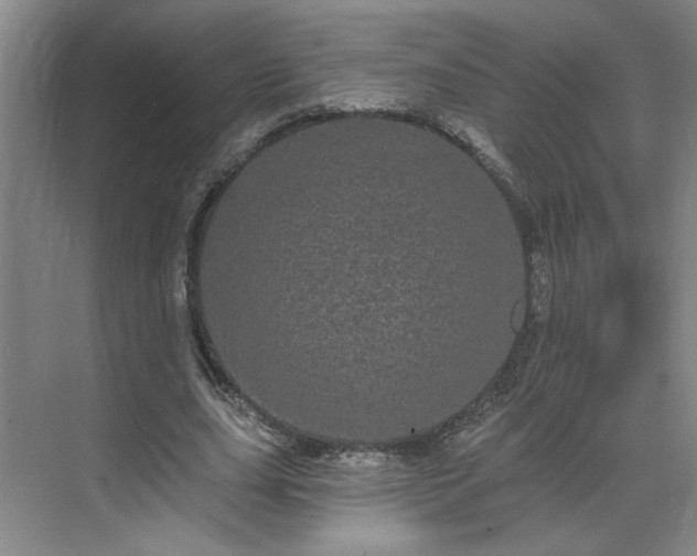 X0000070340631200606161251