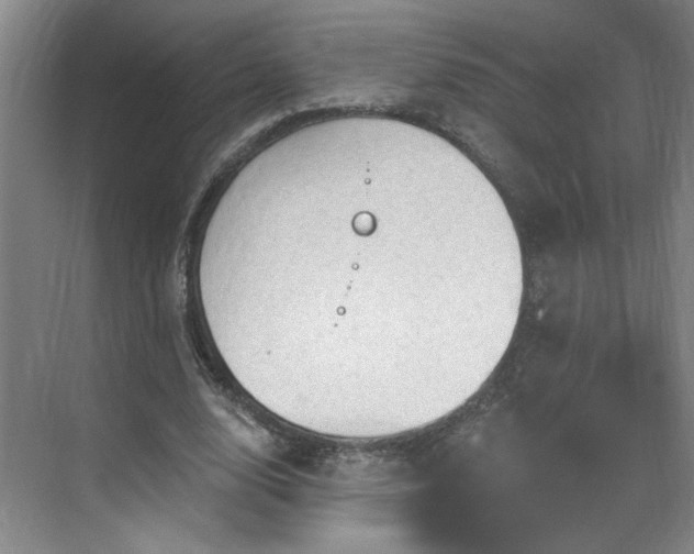 X0000070340632200606161251