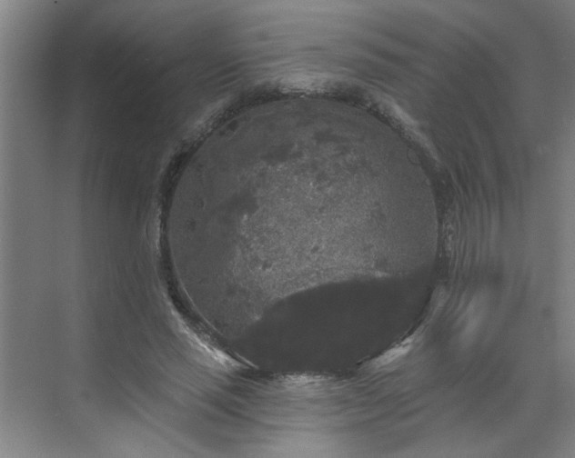 X0000070340637200606161251