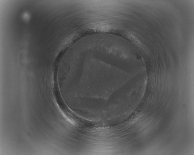 X0000070340638200606161251