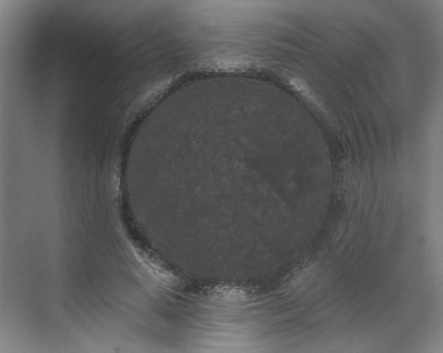 X0000070340640200606161251