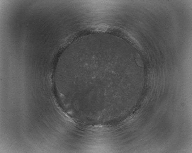 X0000070340641200606161251