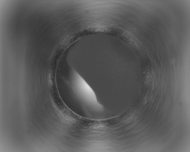 X0000070340643200606161251