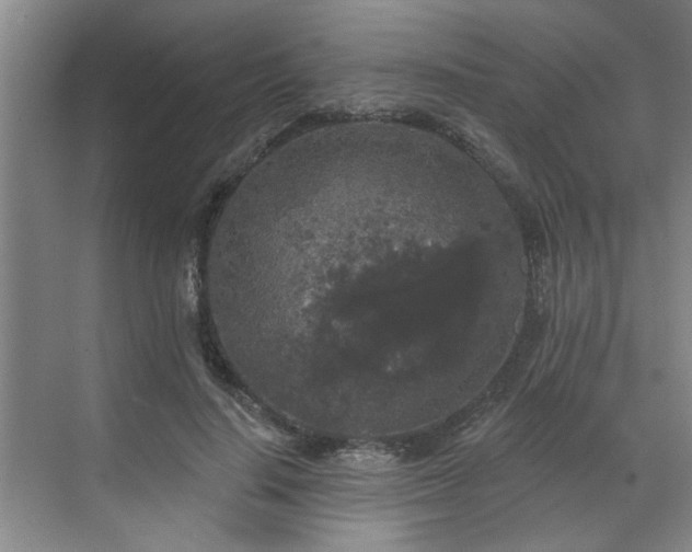 X0000070340644200606161251