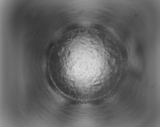 X0000070340645200606161252