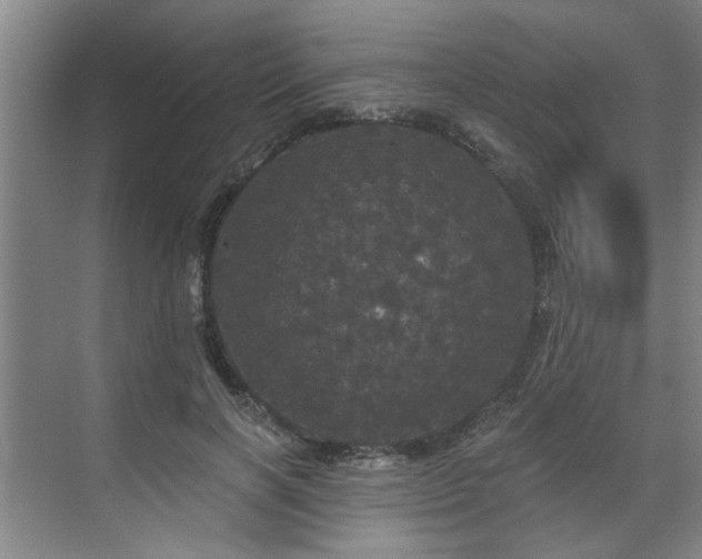 X0000070340646200606161252