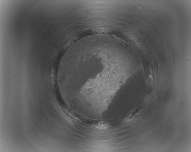 X0000070340647200606161252