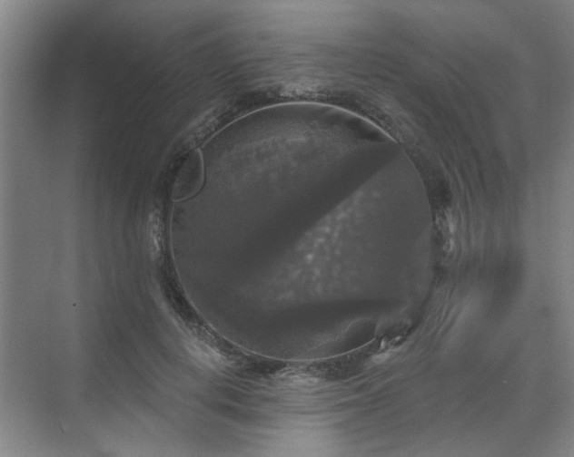 X0000070340648200606161252