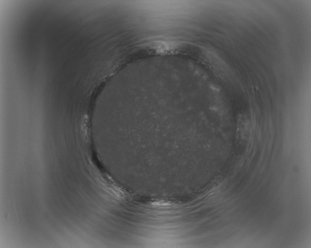 X0000070340650200606161252