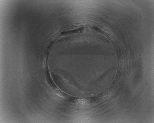 X0000070340652200606161252