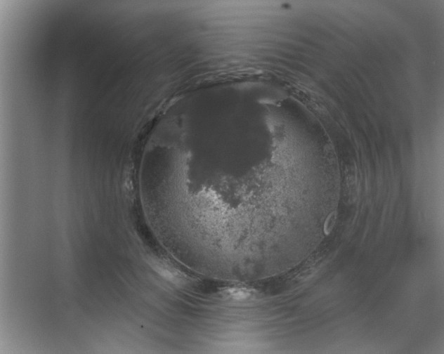 X0000070340654200606161252