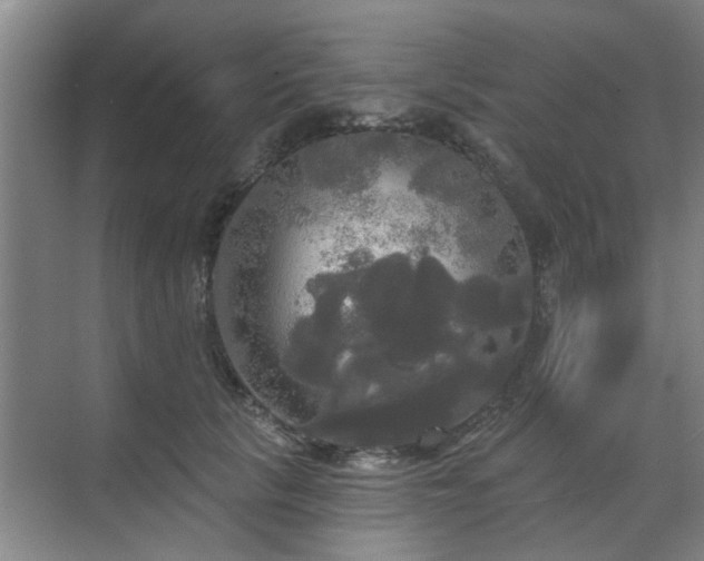 X0000070340657200606161252