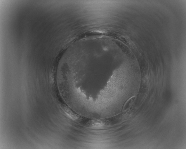 X0000070340658200606161252