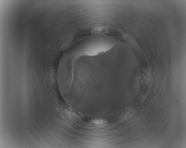 X0000070340659200606161252