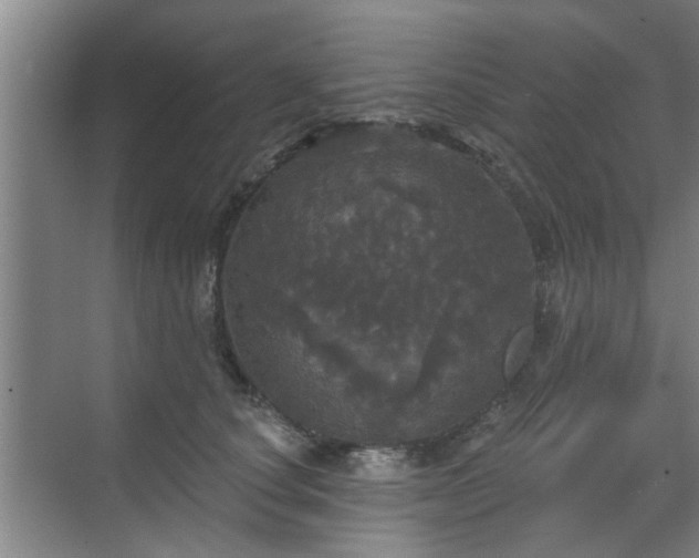 X0000070340660200606161252