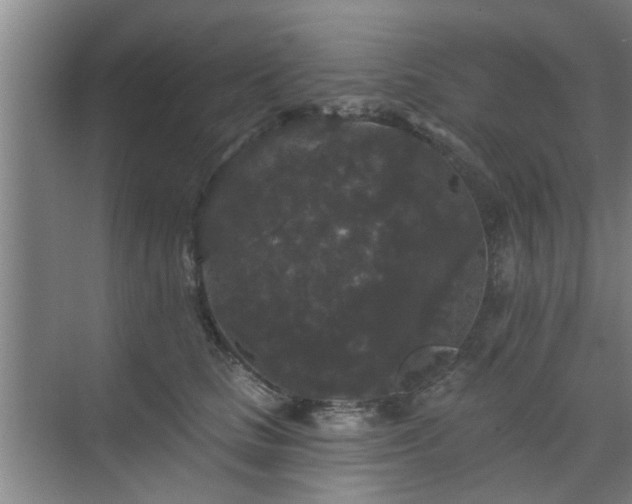 X0000070340661200606161252