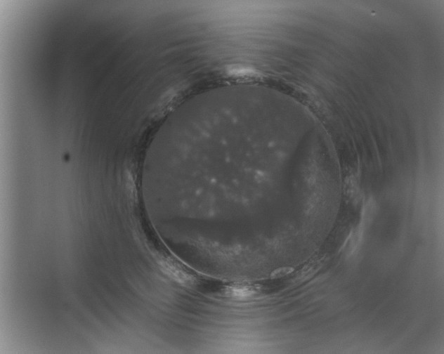 X0000070340662200606161252