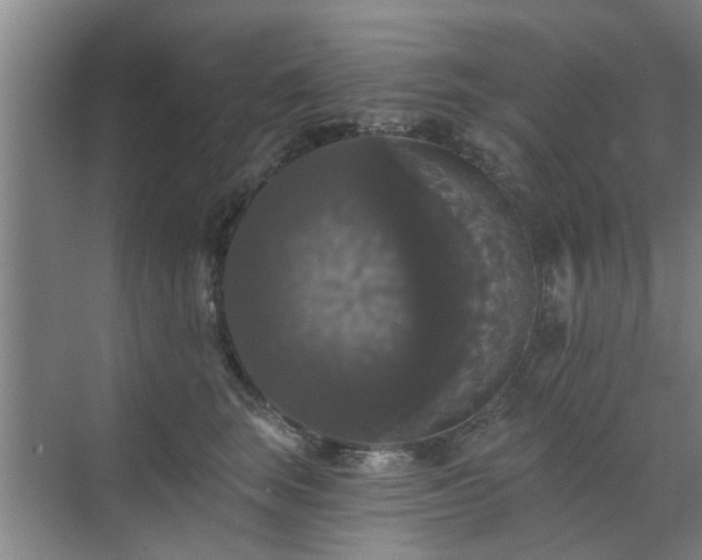 X0000070340663200606161252