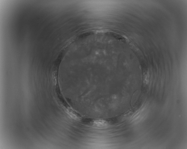 X0000070340666200606161252