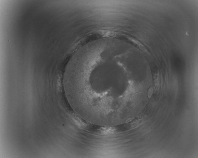 X0000070340667200606161252