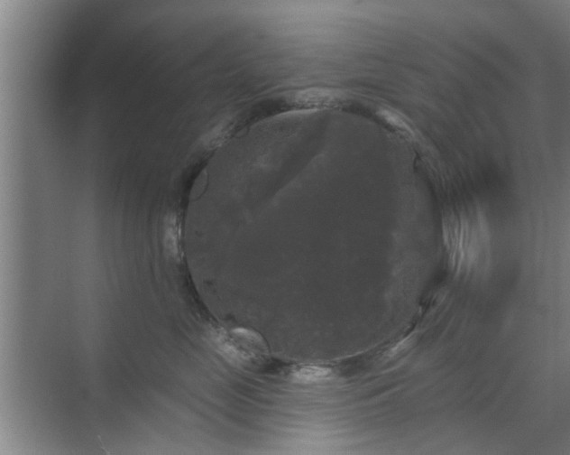 X0000070340669200606161252