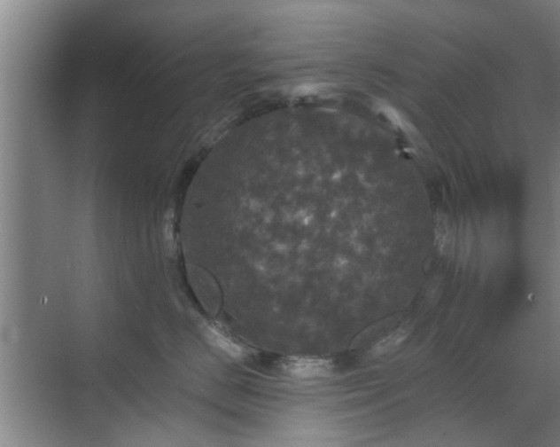 X0000070340670200606161252