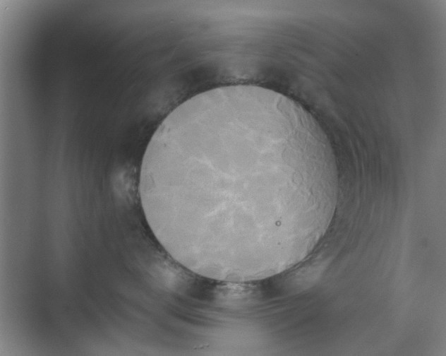 X0000070340672200606161252