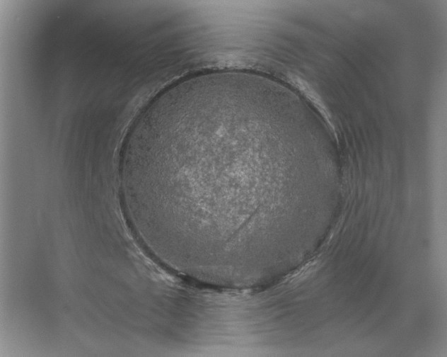 X0000070340673200606161251