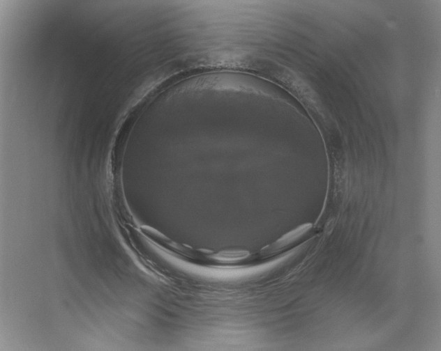 X0000070340674200606161251