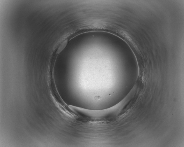 X0000070340677200606161251