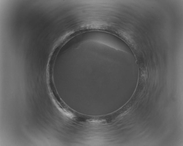 X0000070340678200606161251