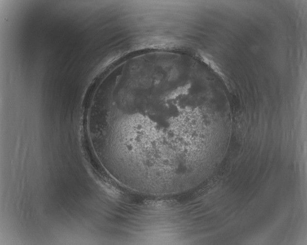 X0000070340679200606161251