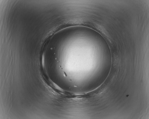 X0000070340681200606161251