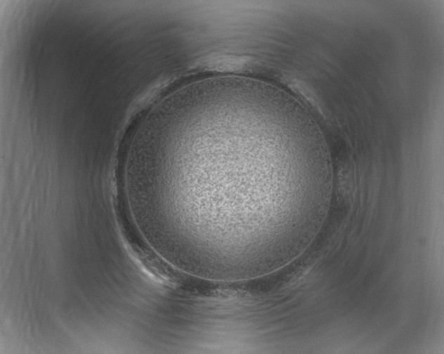 X0000070340682200606161251